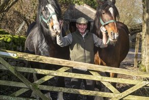 Шесть часов они пытались поднять лошадь на ноги, но сдались и решили ее усыпить