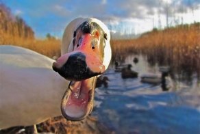 Интересные и красивые фото