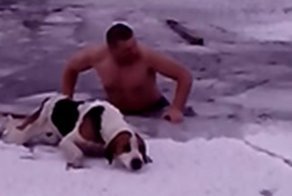 Спасение провалившейся под лёд собаки