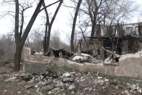 Собаки, козы и коты, спасшиеся при страшном пожаре, объединились в команду и стали выживать вместе!