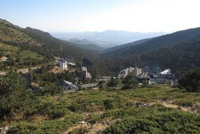 Парень нашёл в горах безжизненную собаку с телефоном на ошейнике!