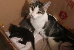 «Это хорошее место, я буду жить здесь»