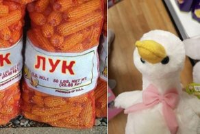 30 фото с самыми нелепыми случаями в жизни