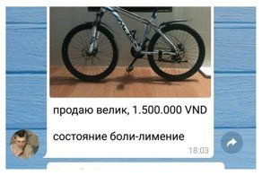 Страшный сон граммар-наци - 4, или Тихая грусть любителей грамотного письма