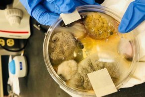 Американка показала ужасающую правду о сушилках для рук