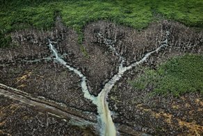 Эдвард Буртински - лучший в мире фотограф-пейзажист