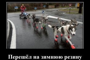 Свежая подборка демотиваторов, которые поднимут вам настроение