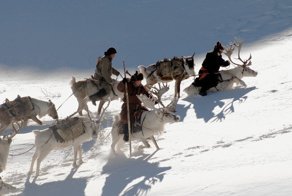 Последние кочевые оленеводы Монголии