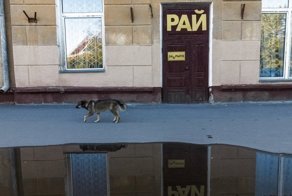 Всё это было бы смешно, если бы не было так грустно