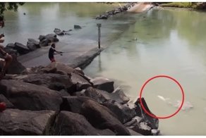 Халяву любят не только люди! Крокодил стащил улов рыбака