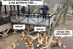 Картинки с надписями для настроения