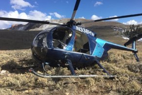 Американский лось умудрился сбить вертолет рогами