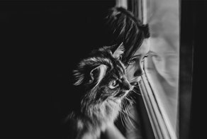 Лучшие детские фотографии конкурса B&W Child Photo Contest 2017