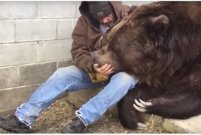 Когда у твоего большого друга был тяжелый день
