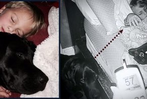 “Всё выглядело хорошо. Но всё было плохо!” Ночью пёс поднял хозяйку с кровати, рядом погибал ее сын