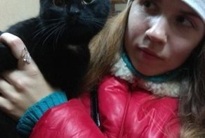 Женщина заметила на улице движущийся мешок… Внутри задыхалась кошка, которая готовилась родить котят