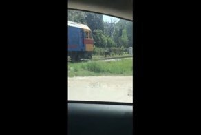 В Таиланде лошадь решила убежать от поезда по рельсам