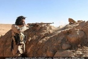 Бедросович жжёт напалмом или просто сошёл с ума?
