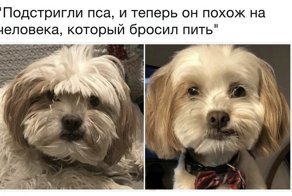 Картинки с надписями для настроения