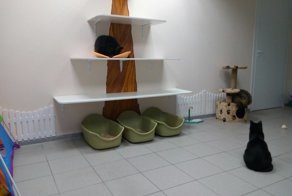 Котерия - территория добра!