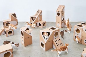 Кошачьи радости: модульные домики для кошек из картонных коробок