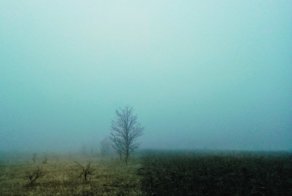 Родные просторы: несколько характерных русских пейзажей