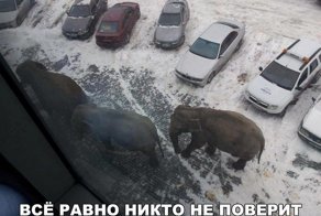 Картинки с надписями для настроения