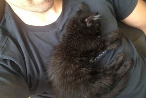 Она вспрыгнула на плечо посетителю, и решила свою судьбу