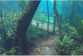 Туристическая тропа в Бразилии превратилась в потрясающий подводный мир