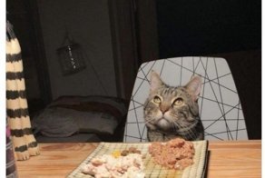 Ты мне не отец