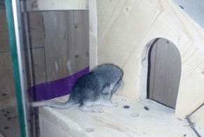 Как хорошо, что на свете есть те, кто не даст в обиду маленькую душу