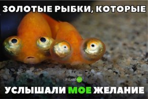 Картинки с надписями для настроения