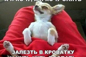 Юмор из интернета
