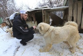 Американский фристайлист спас 90 собак от съедения в Южной Корее