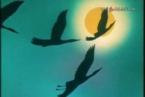 Рождественский хорал в мире животных