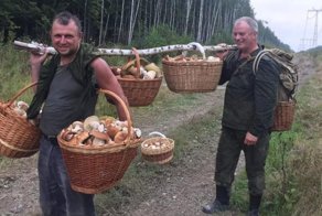 Мишаня — странный грибник