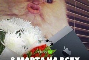 Картинки с надписями для настроения