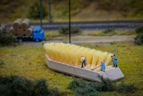 Художник из Венгрии создает миниатюрные волшебные миры посреди повседневности