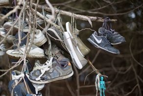 Фотограф случайно нашла в лесу гирлянды из кроссовок