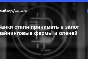 Под что, оказывается, только не берут залог банки! Кредит под майнинговую ферму, оленей и сыр