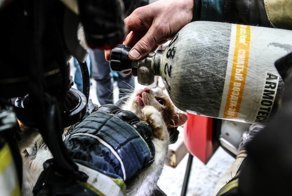Спасение кота на пожаре. Волгоград!