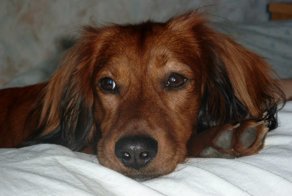 Когда время летит слишком быстро