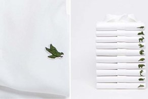 Компания Lacoste сменила логотип, заменив привычного крокодила животными, которые находятся на грани вымирания