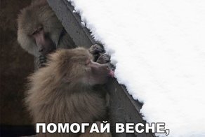 Пост хорошего настроения