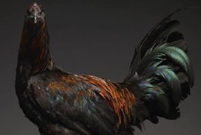 33 самых красивых представителя семейства курообразных