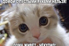 Юмор из интернета