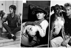 Рок звёзды со своими питомцами