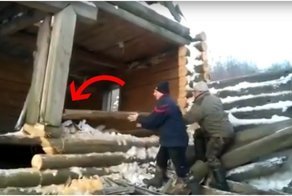 Двое работяг почти заработали премию Дарвина