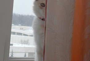 Хамура Кусаки: три месяца в доме