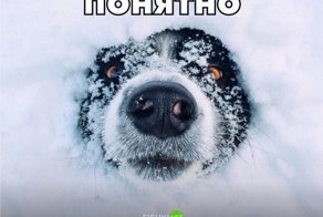 Картинки с надписями для настроения